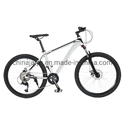 Bicycle 26 Alloy Crown Lock Fork with Disc Brake for MTB 11s